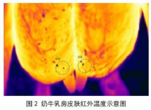 基于红外热像图的奶牛乳腺炎在线监测系统
