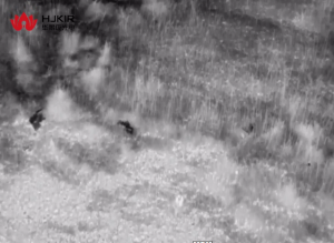 无人机户外拍摄野生动物