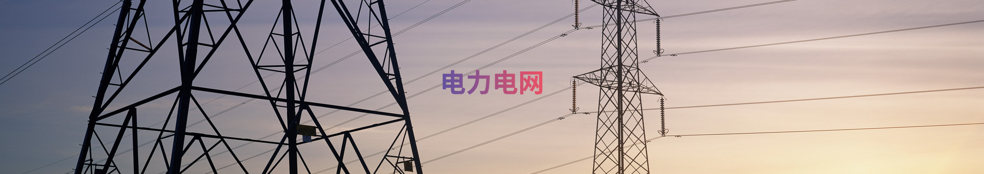 电力电网