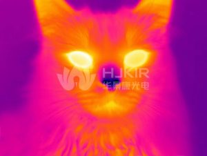 红外热成像仪可以应用在哪些领域呢